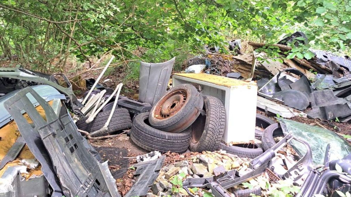 Leśnicy pokazali zdjęcia - takie odpady trafiają do lasu