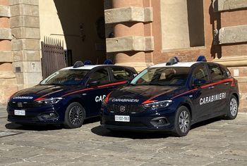 Ciało w 16 workach. Makabryczne zabójstwo w Turynie