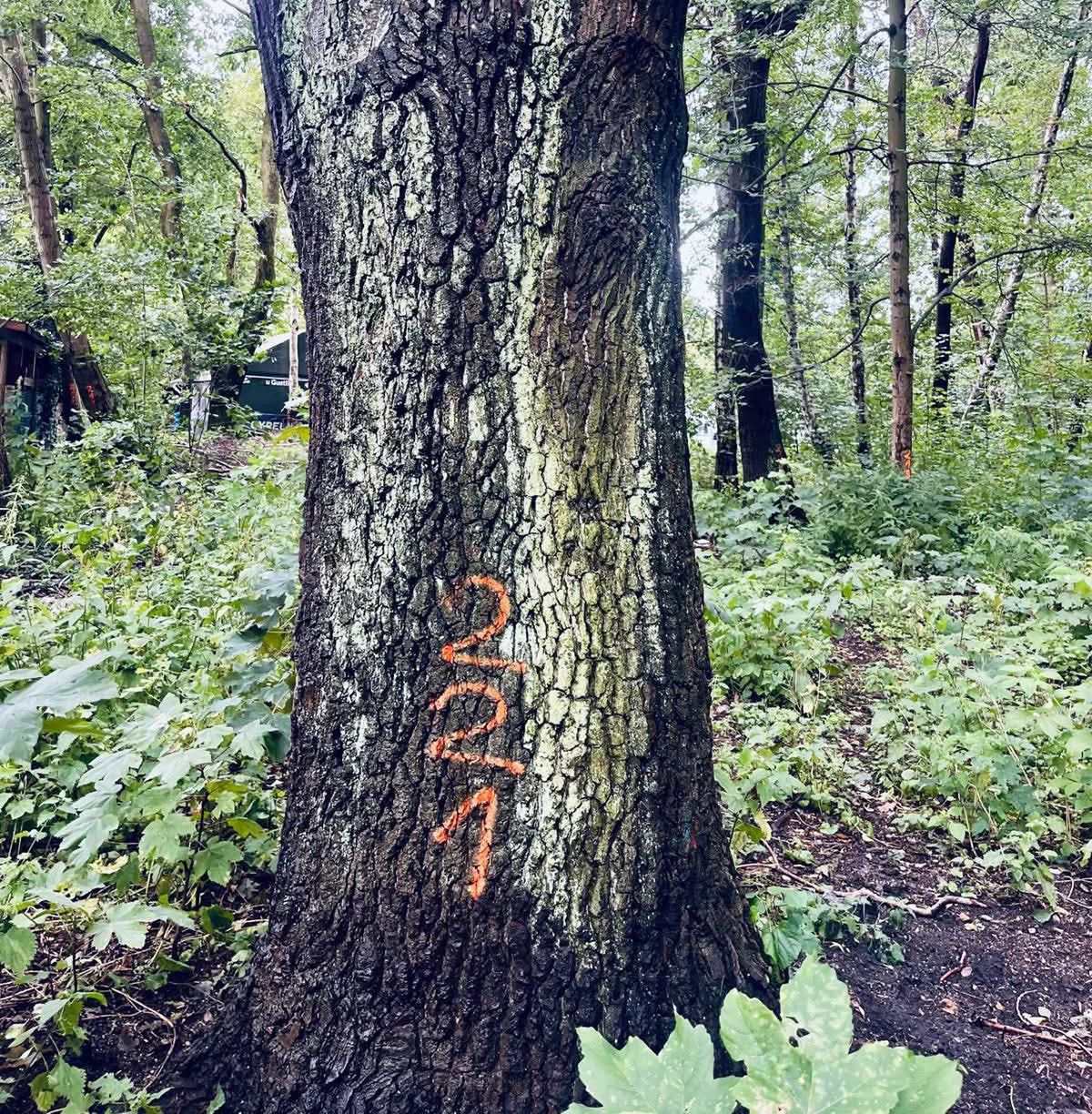 Wpis Helskiego Cypla na listę UNESCO to nasze marzenie