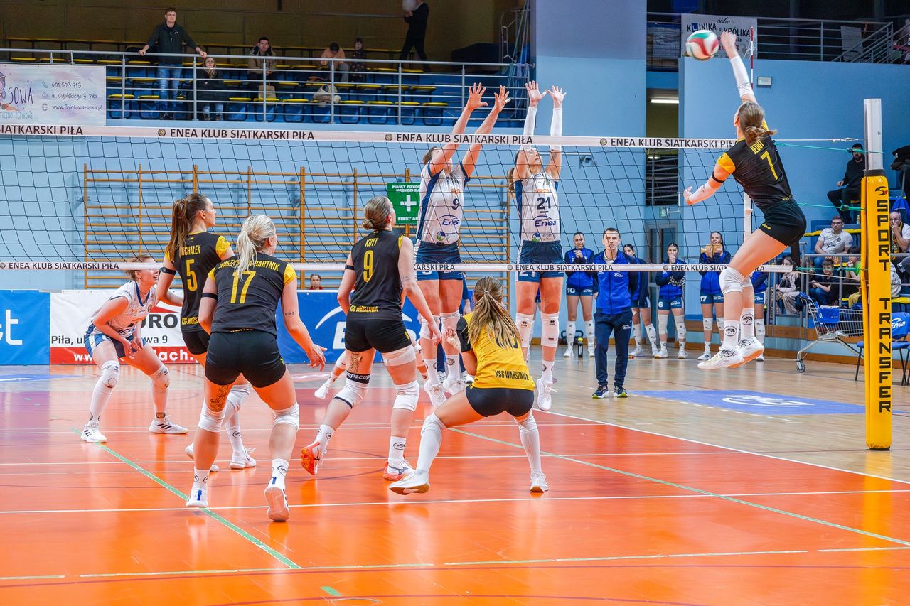 Siatkówka Piła