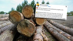Nagły zwrot ws. przepisów o wycince drzew na prywatnej działce
