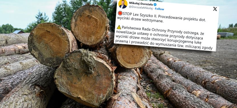 Nagły zwrot ws. przepisów o wycince drzew na prywatnej działce