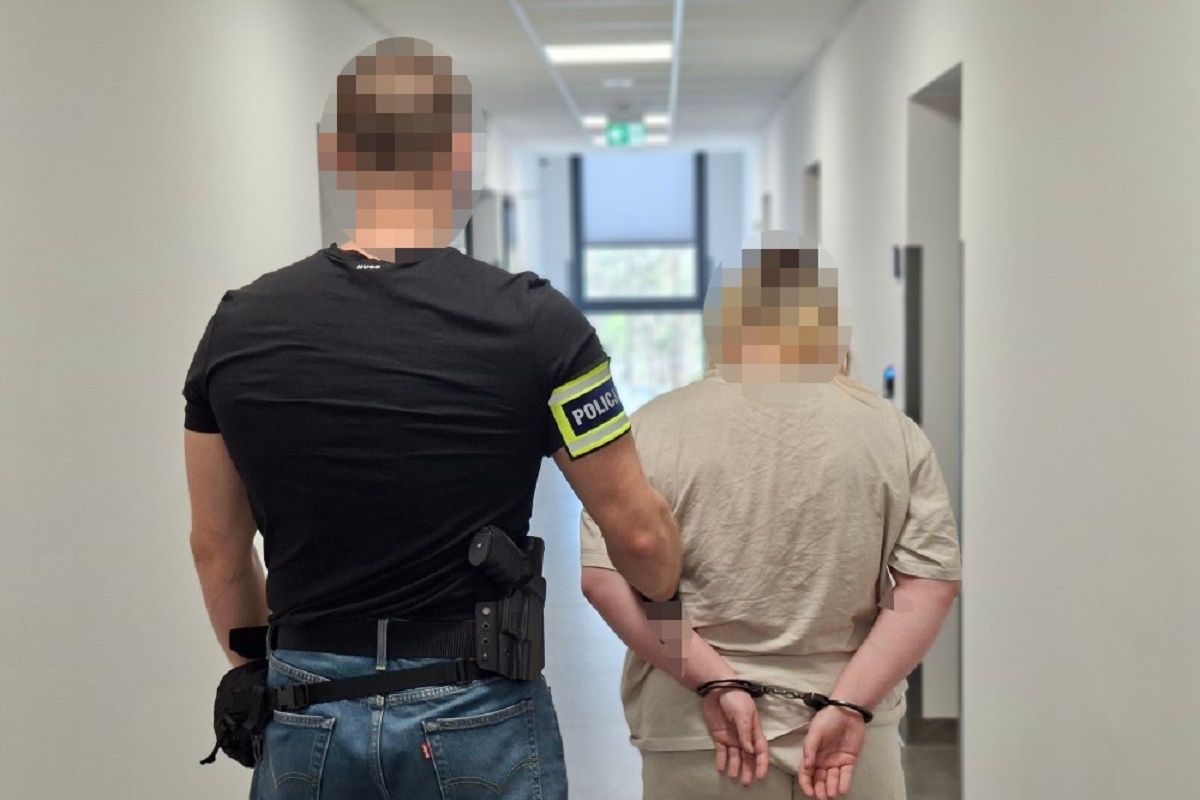 Przywiązali dwa psy do słupa w lesie. Usłyszeli zarzuty. Skandal na Mazowszu