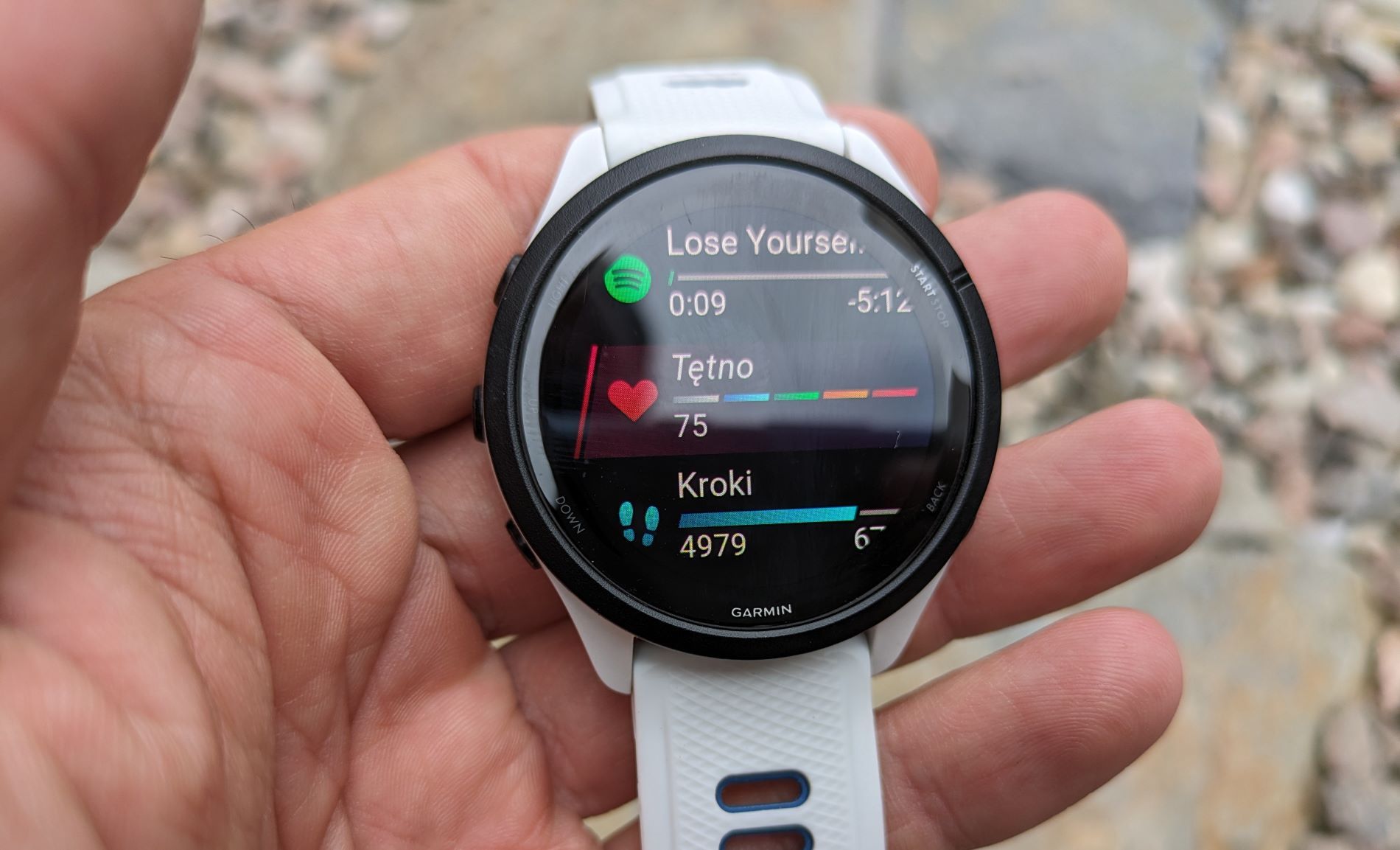 Garmin Forerunner 265