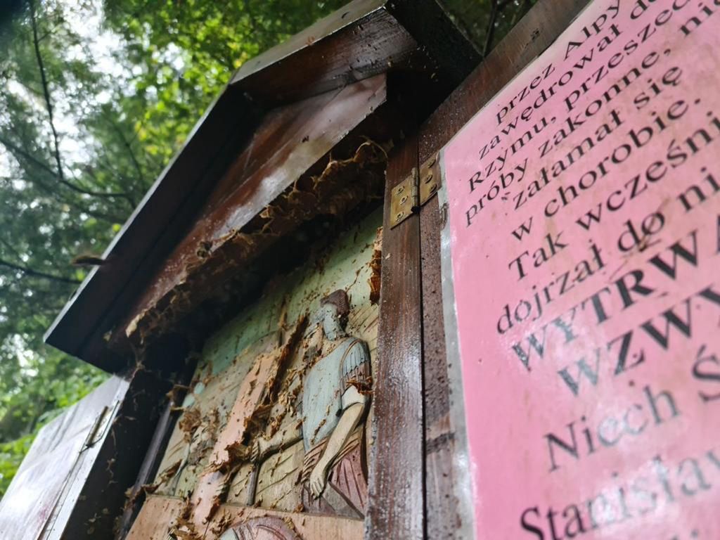 Szerszenie zaatakowały pielgrzymów w pobliżu stacji drogi krzyżowej