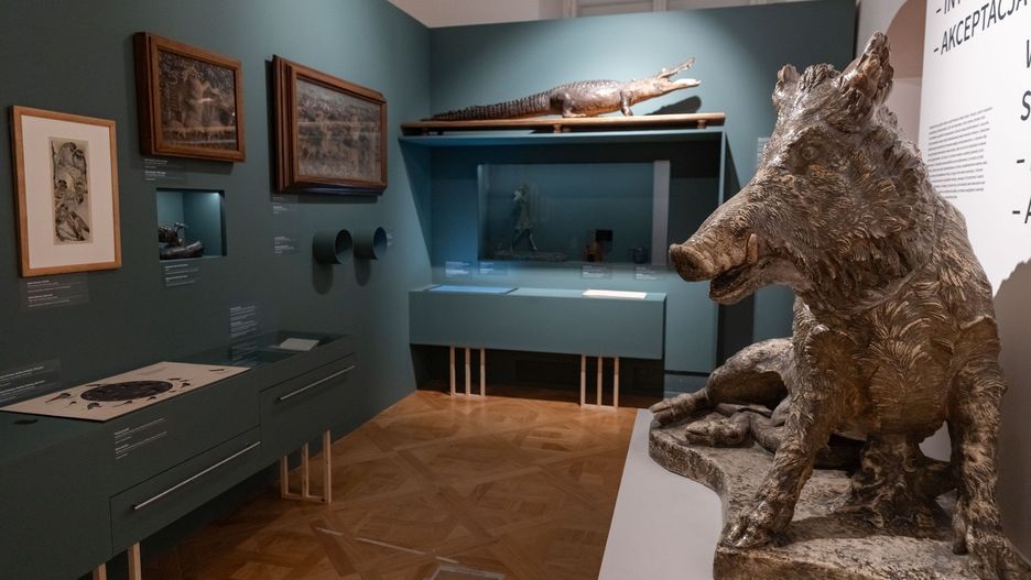 Wystawa &#34;Miasto zwierząt&#34; w Muzeum Krakowa