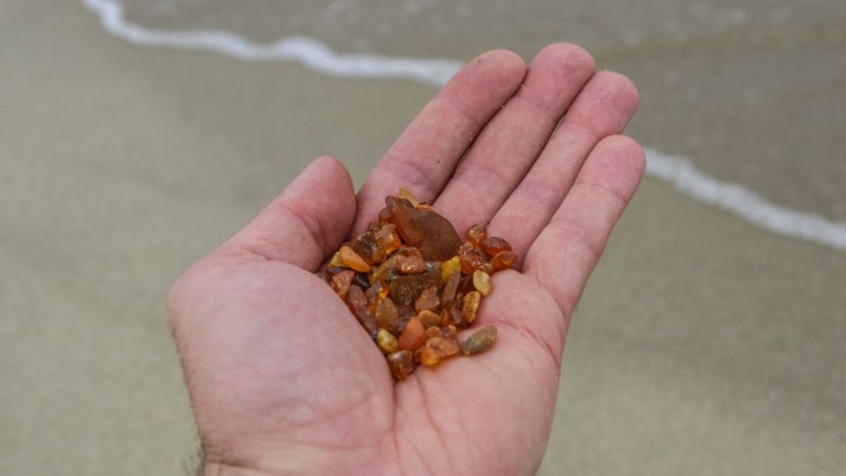 Trafili na wysyp bursztynów. Pokazali nagranie