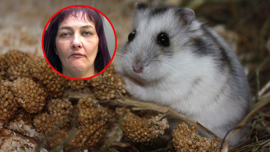 Emma Parker zabiła chomika, a później go zjadła