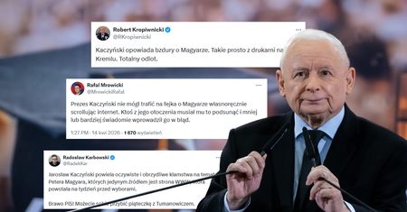 "Upadek standardów", "totalny odlot" i "chore bzdury". Kontrowersyjne słowa prezesa PiS