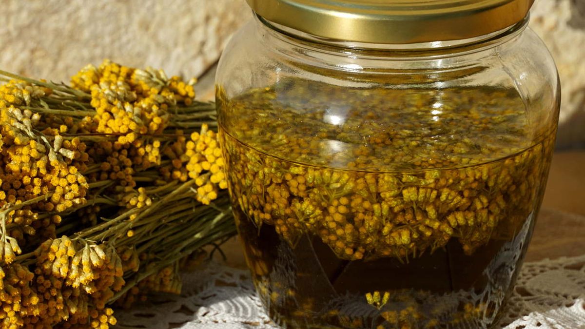 Zbawienna dla wątroby i trzustki