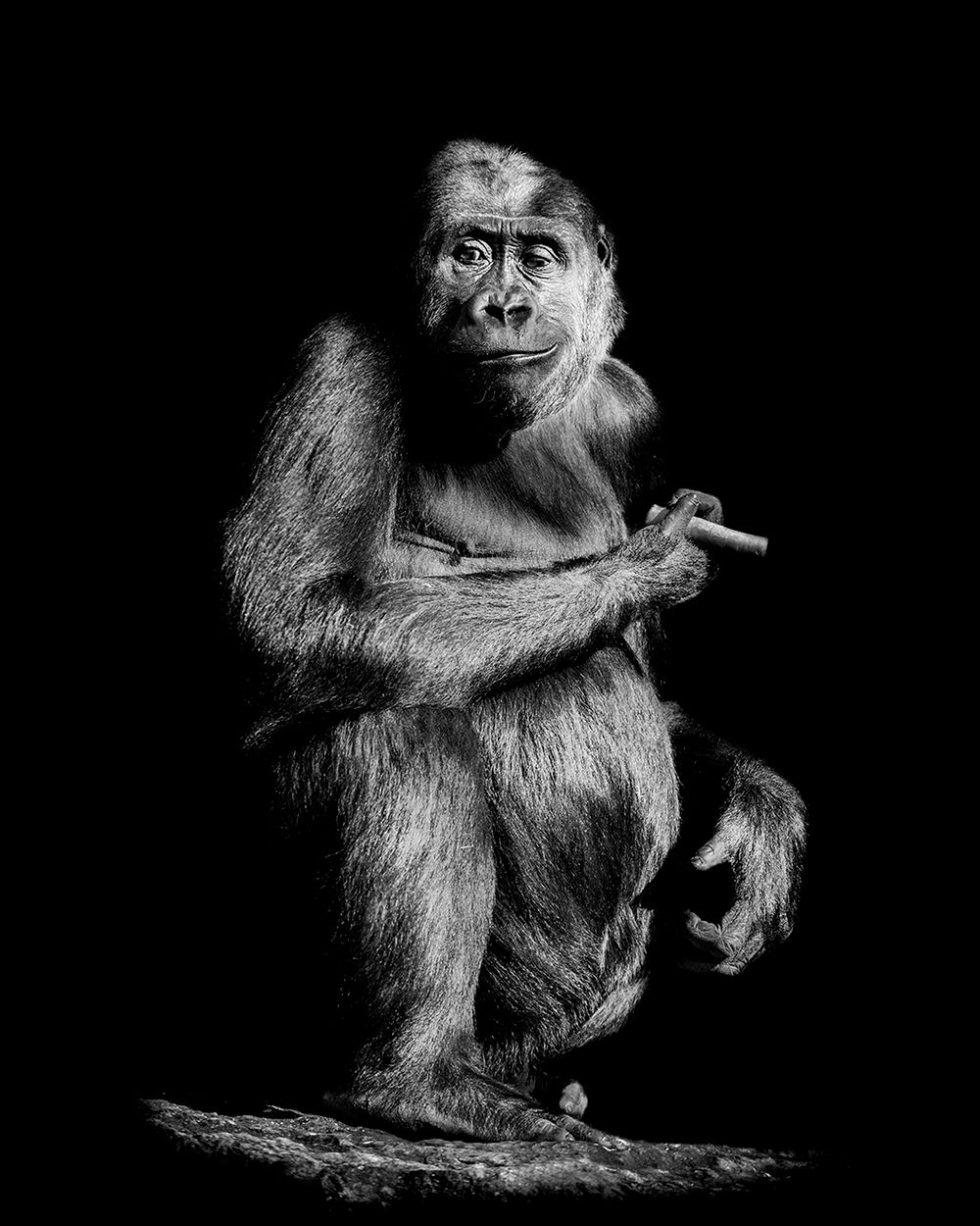 Wystawa „inHUMAN” Pawła Bogumił zagości w Leica 6x7 Gallery 6