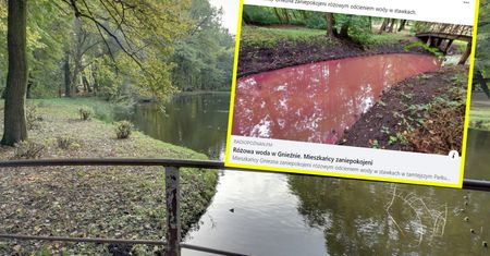 Różowa woda w rzece. Mieszkańcy Gniezna zaniepokojeni