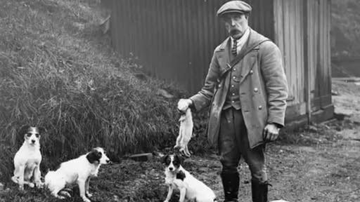 Zdjęcie poglądowe z internetu