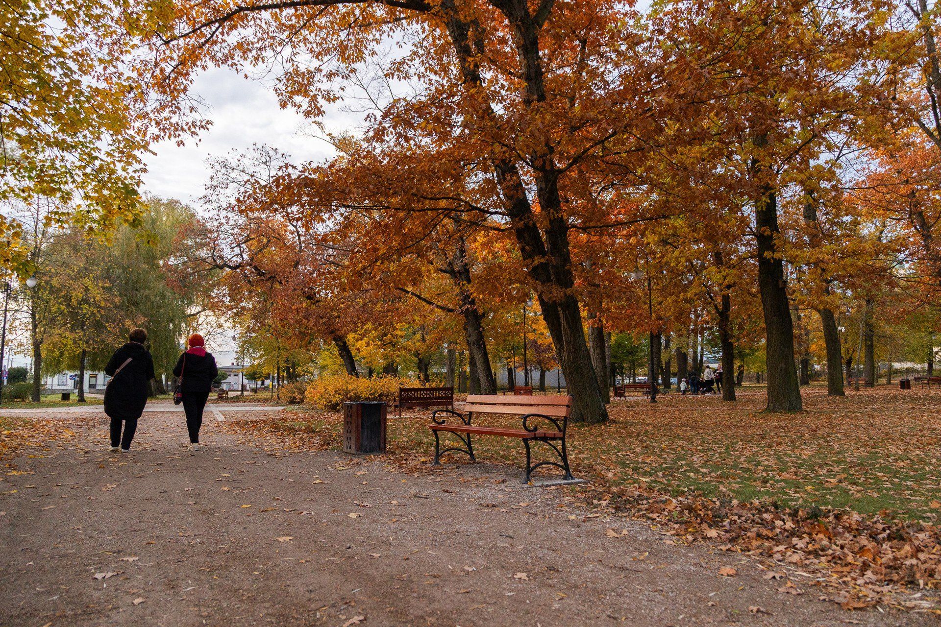 Park zachęca do spokojnych spacerów, zwłaszcza o tej porze roku.