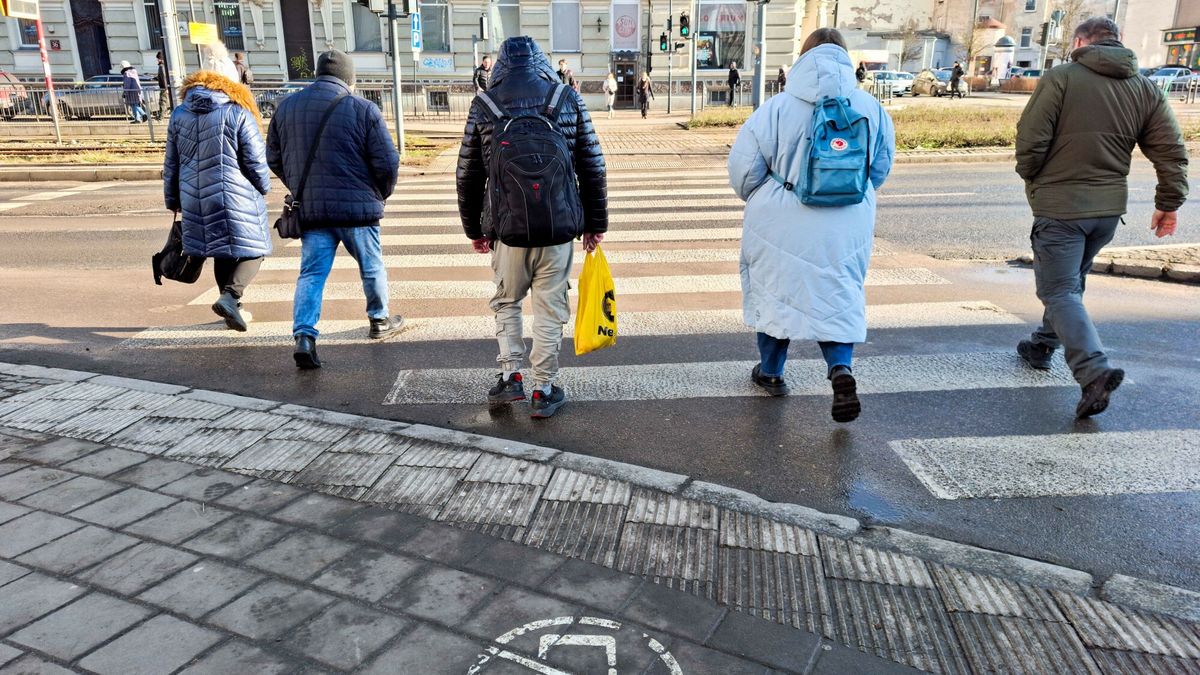 Reporter archiwum 2025 0128.01.2025 Lodz. N/z zank poziomy - zakaz uzywania telefonow komorkowych w czasie przechodzenia przez jezdnie oraz w momencie wchodzenia na nia przy ulicy Kosciuszki. Ustawa Prawo o ruchu drogowym wprowadza tez pierwszenstwo pieszego, ktory stoi jeszcze na chodniku. Fot. Piotr Kamionka/REPORTERPiotr Kamionka/REPORTER