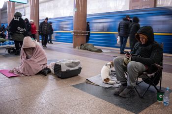 Największy atak na energetykę. Rosja uderzyła setkami dronów i rakiet