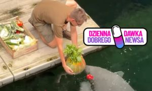 Niezwykłe urodziny we wrocławskim zoo. Taki prezent czekał na jubilata