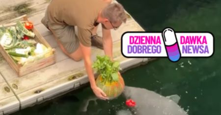 Niezwykłe urodziny we wrocławskim zoo. Taki prezent czekał na jubilata