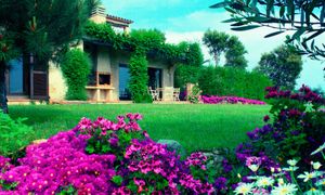 Najmodniejsze aranżacje ogrodowe 2026 — inspiracje i praktyczne triki