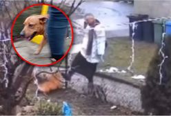 Oburzenie po ataku księdza na kolędzie. Co się stanie z Luką?