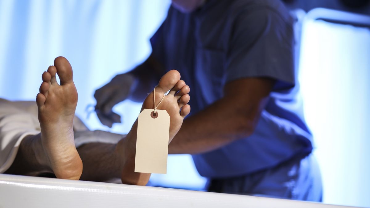 Medical Examiner with corpse in morgue.
Medical examiner or forensic scientist with dead man's corpse in morgue.  He is about to begin his autopsy.
fstop123