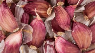 To zdecydowanie najgorszy czosnek, jaki można kupić. Pełen szkodliwej chemii i pleśni