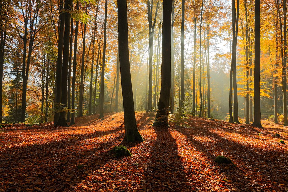 Polak wśród laureatów konkursu Lovers of Light 3