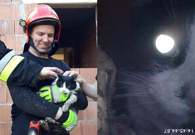Bohaterscy strażacy z Tyńca PRZEZ 6 GODZIN ratowali kotka. Futrzak utknął w rurze kanalizacyjnej