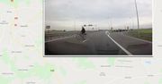Rowerzysta na drodze S17. Kierowca cudem uniknął zderzenia