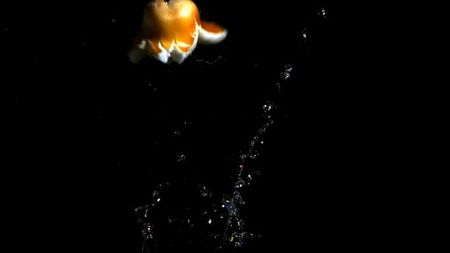 Popcorn wybuchający w zwolnionym tempie wygląda naprawdę niesamowicie [wideo] 1