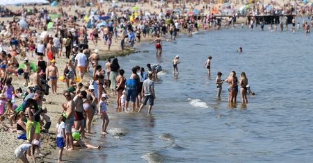 Ta opaska może uratować życie. Nadmorski kurort rozdaje je chętnym