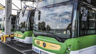 Zielona Góra: Darmowe przejazdy autobusami w ramach dnia bez samochodu