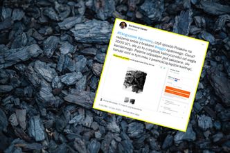 Zwietrzyli interes na braku węgla. W sieci pojawiły się oferty "ekogroszku gumowego"