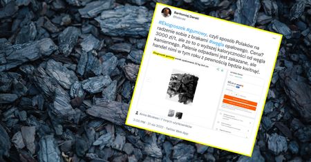 Zwietrzyli interes na braku węgla. W sieci pojawiły się oferty "ekogroszku gumowego"