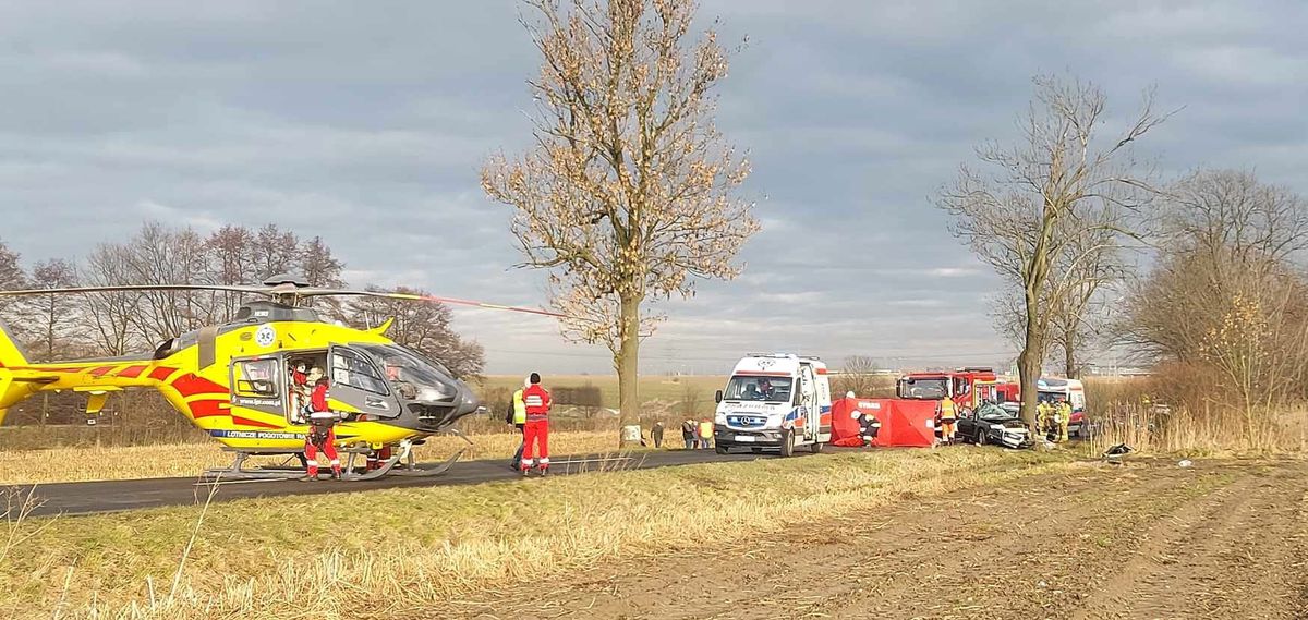 wypadek śmiertelny, policja, Audi Koszmarny wypadek na Śląsku. Nie żyją trzej Ukraińcy