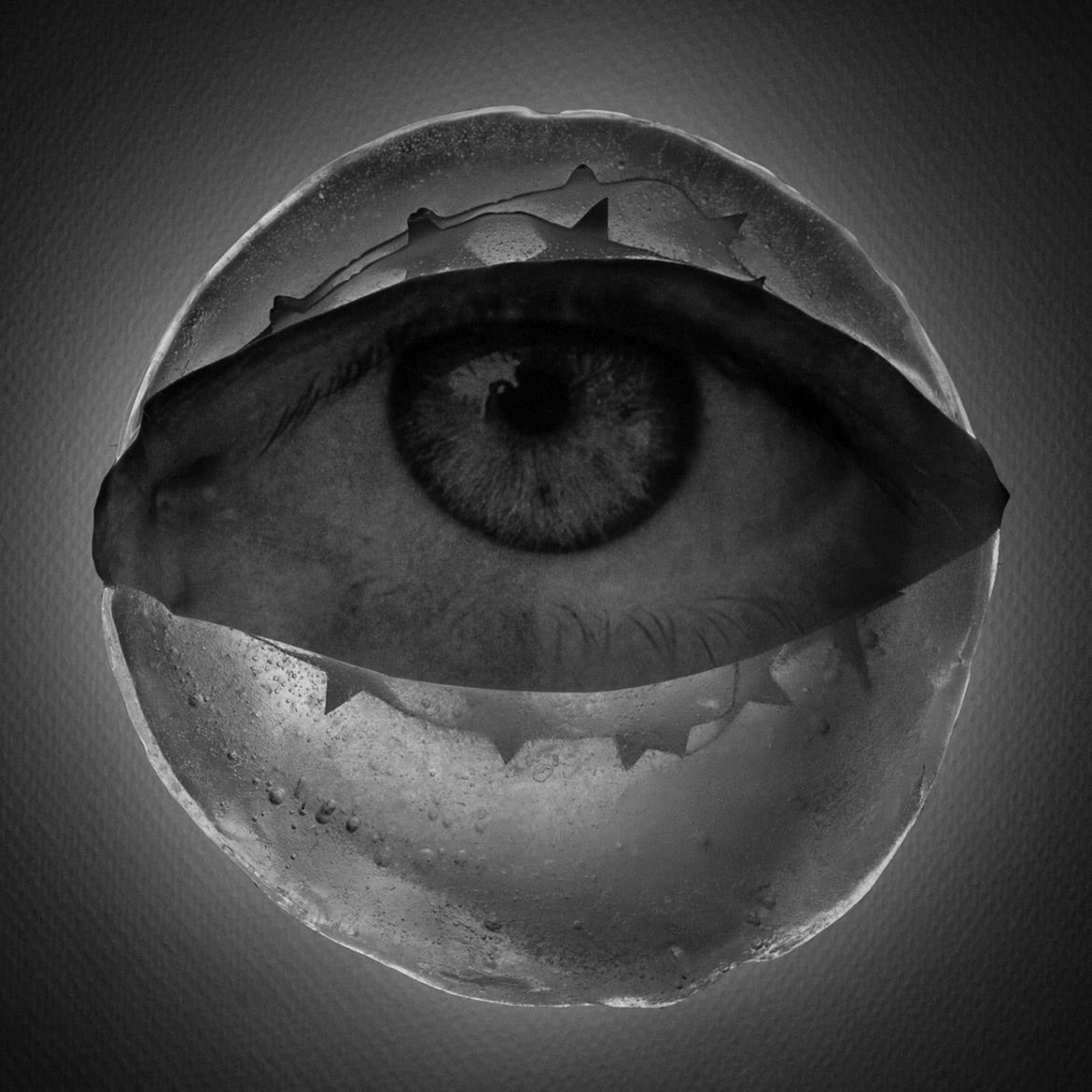 MonoVisions Photography Awards 2017. Polacy nagrodzeni wśród mistrzów fotografii czarno-białej 51
