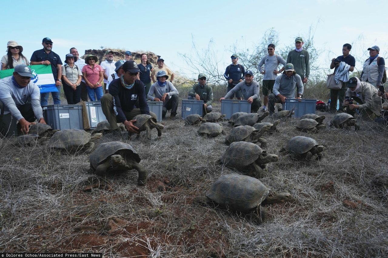 Wielka radość na Galapagos. "Ogromne osiągnięcie"