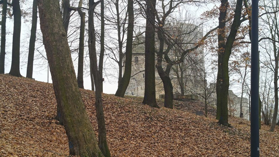 Przewijaj w dół, aby przejść do następnych zdjęć!