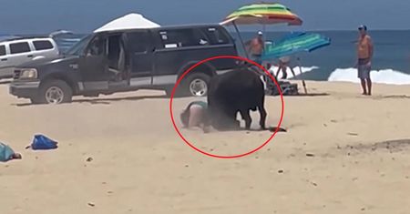 Koszmar na plaży. "Proszę nie rób tego, uciekaj!"