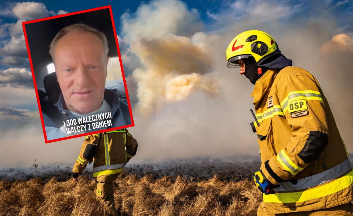Pożar w parku narodowym. Tusk jedzie na miejsce