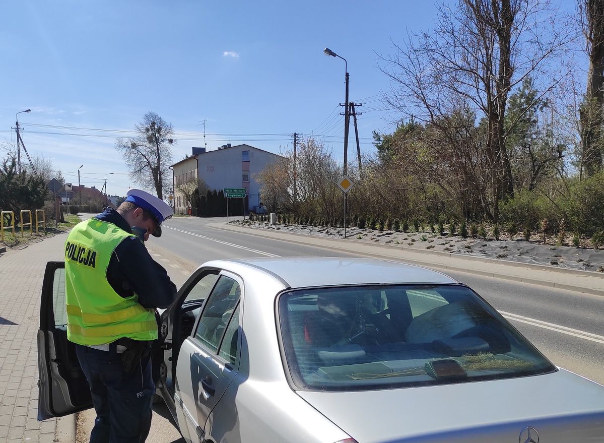 Jeden dzień, jedno województwo, 222 mandaty. Policja podsumowuje akcję "telefony"