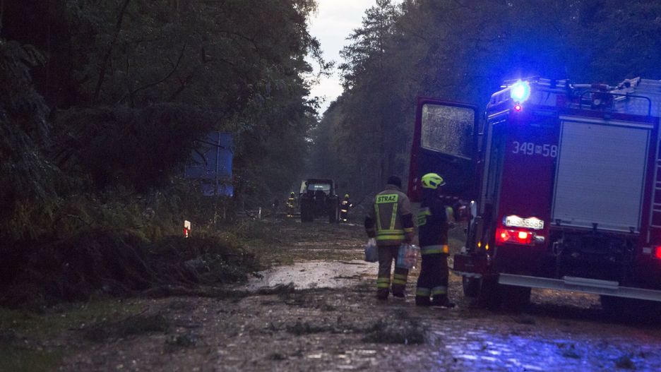 Silny wiatr w Polsce. Ewakuacja obozów namiotowych, na drodze połamane drzewa. Zdjęcie ilustracyjne