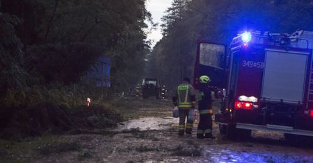 Silny wiatr w Polsce. Ewakuacja obozów namiotowych, na drodze połamane drzewa