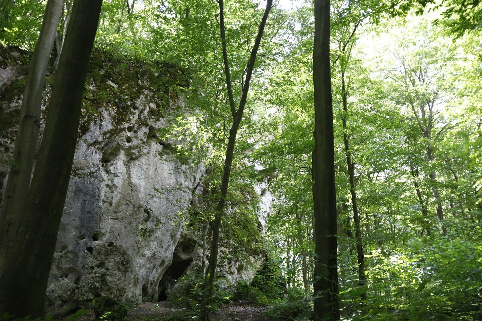 Zamek „Ostrężnik” w rezerwacie przyrody