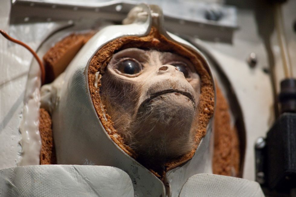 Projekt Albert: tragiczny los pierwszych astronautów. Zapomniani pasażerowie rakiet V2 1