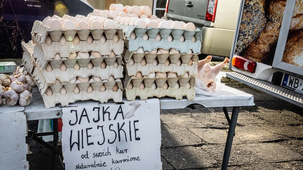 Tańsze jaja spoza UE wyprą wiejskie od polskich kur?