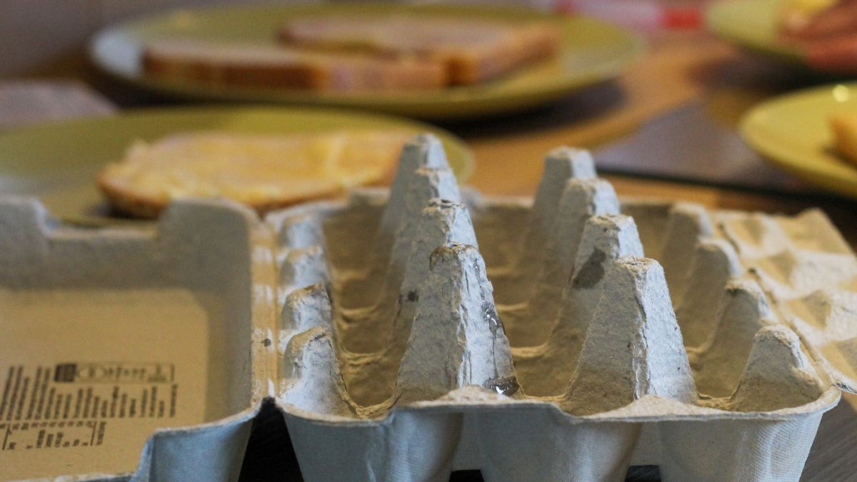 Gdzie wyrzucić wytłaczankę po jajkach?