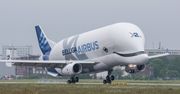 Olbrzym wylądował w Warszawie. Airbus beluga na Okęciu
