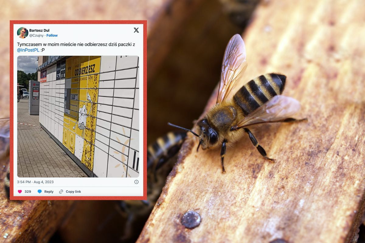 Rój pszczół zaatakował paczkomat w Podkowie Leśnej. Wiemy, co się stało