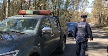 Ktoś kradnie drzewa. Policja szuka pokrzywdzonych właścicieli lasu
